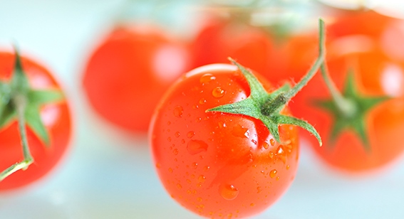 Schützen Tomaten vor Prostatakrebs?